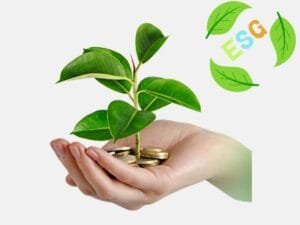 A hand holding a small plant growing from a pile of coins, symbolizing green investing and ESG (Environmental, Social, and Governance) finance.